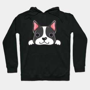 Boston Terrier Hoodie